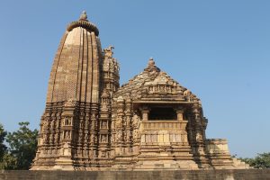 Daily Cricket Betting Tips in Madhya Pradesh: Pro Tips to Win in India (2026)